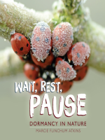Wait__rest__pause